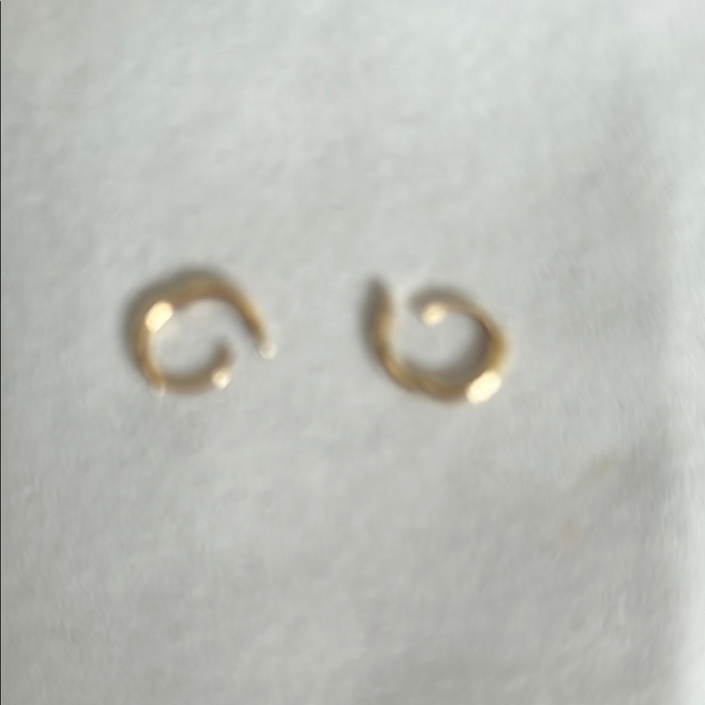 Petite gold earrings.